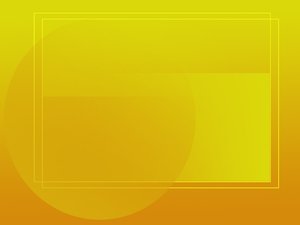 讲给老板听的安全审计价值分析